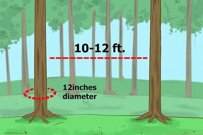 How to Hang an ENO Hammock