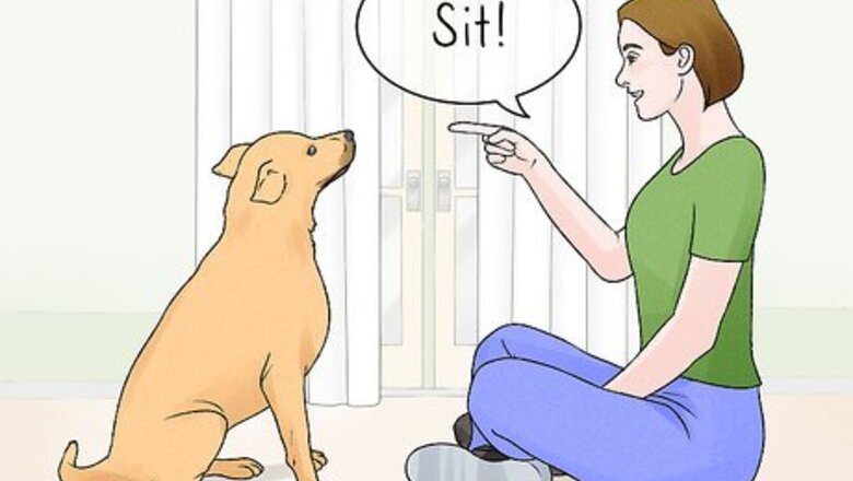 How to Teach Your Dog to Dance
