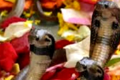 Celebrating Nag Panchami: Significance, Mahurat, and Astrologically Correct Rituals