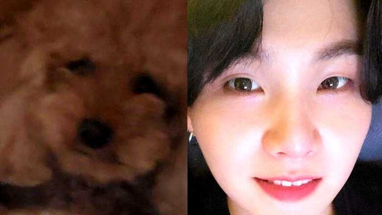 BTS’ Suga Shares First Picture Of His Pet Dog Holly And ARMY Can't Keep Calm