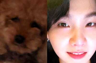 BTS’ Suga Shares First Picture Of His Pet Dog Holly And ARMY Can't Keep Calm