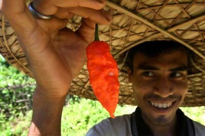 Find Out Why You Should Include Red Chilli in Your Diet