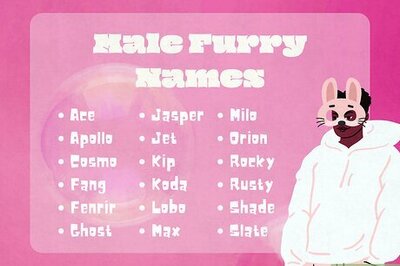 75 Cute & Unique Furry Names for Any Gender