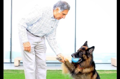 Ratan Tata's Love for Dogs Once Led Him to Skip a Meeting with King Charles