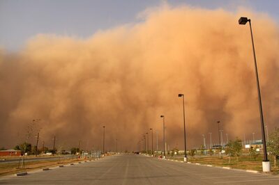Dust Storm: Effective Tips And Home Remedies To Shield Yourself