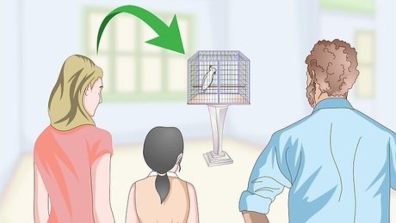 How to Choose a Cage for a Cockatoo