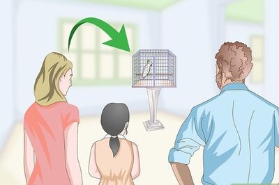 How to Choose a Cage for a Cockatoo