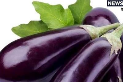 Eating Too Much Brinjal Might Not Be Good For You; Find Out Why