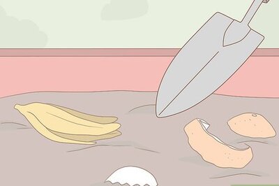 How to Dispose of Food