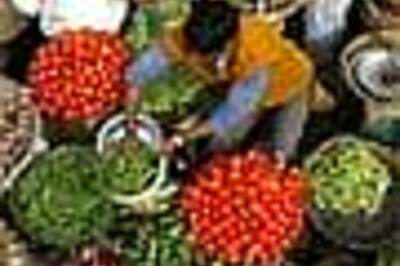 Food inflation rises to 16.35 per cent