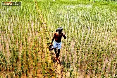 India has until October 21 to back global customs deal: EU minister