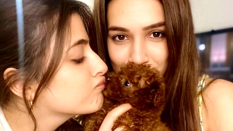 Kriti and Nupur Sanon Welcome New Puppy into Family And it Has a FRIENDS Connection