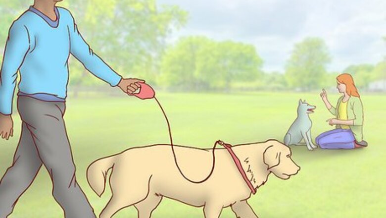 How to Maintain Social Skills in Older Dogs