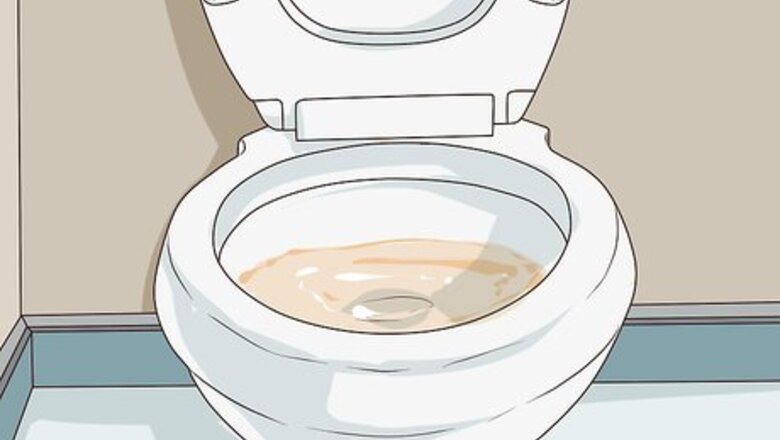 How to Improve a Toilet's Flushing Power