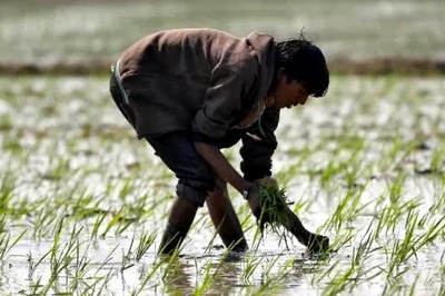 Budget 2022: Not Green, Agriculture Needs Evergreen Revolution; R&D Deserves Booster Shot