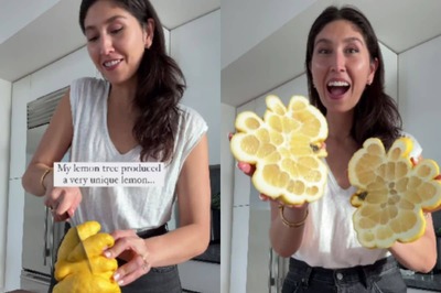 Viral Video of Giant 'Creepy-shaped' Lemon is Giving Internet All the Chills and How