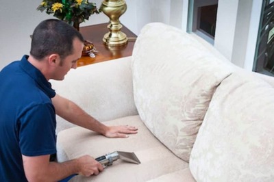 In Scotland, Python Pays An Unexpected Visit At Furniture Recycling Centre