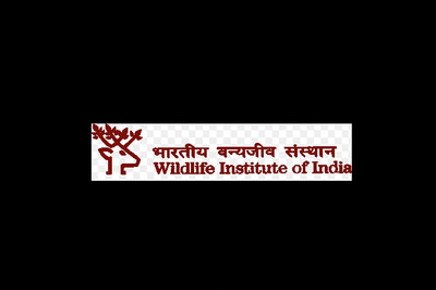 Wildlife Institute Of India, Dehradun Recruitment: 59 Posts, Apply Before Dec 15