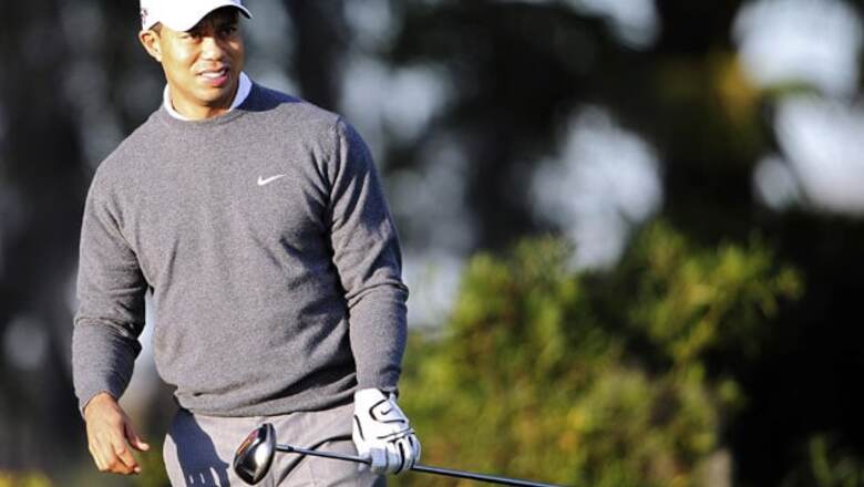 Tiger's top spot is up for grabs, says Poulter