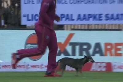 India vs West Indies | Dog Halts Play During First Innings of Chennai ODI