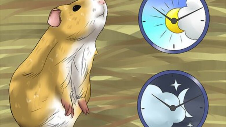 How to Diagnose Heatstroke in Guinea Pigs
