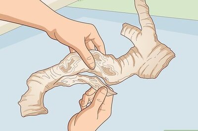 How to Preserve Driftwood