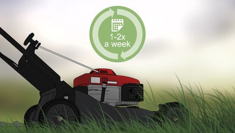 How to Care for Your Lawn in the Summer