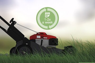 How to Care for Your Lawn in the Summer