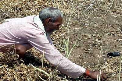 NHRC seeks report from UP, MP government on Bundelkhand famine