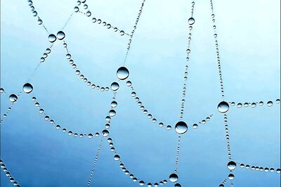 Software Engineer From Kolhapur Wins ‘Apple Award’ For This Photo He Shot On iPhone 13 Pro