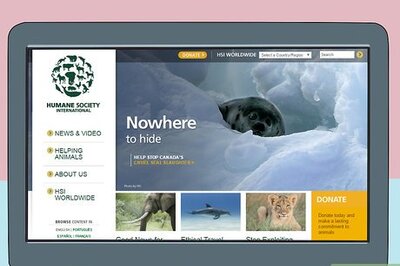 How to Help Save Whales