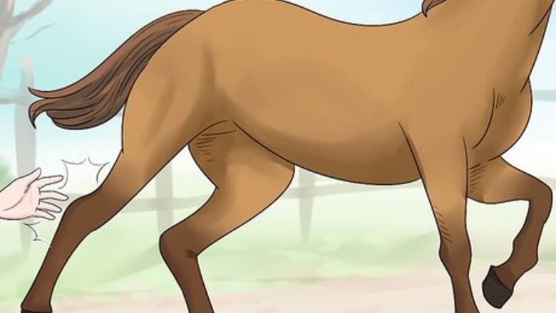How to Train Your Horse for the Farrier