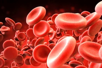 UK Scientists Discover New Blood Type After 50-Year Research. What is MAL?