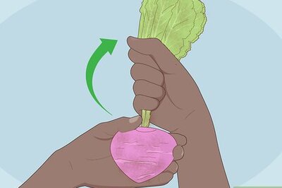 How to Store Turnips