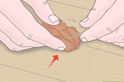 How to Catch a Pond Catfish