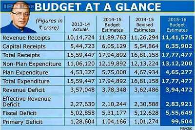 In pics: Budget at a glance