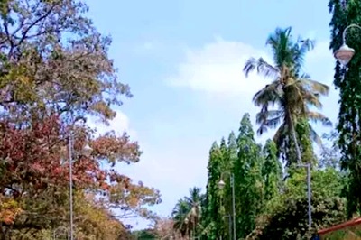 Why Kerala's Manaveeyam Veedhi Road Is A Major Tourist Attraction