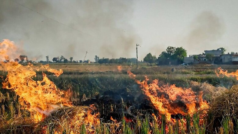 Stubble Fires On Decline In Punjab, Haryana After Record Peak in 2021, But Total Cases Still High