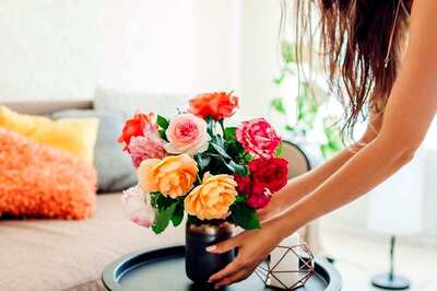 Colour Palettes for the Monsoon: Fresh and Vibrant Interior Design Ideas
