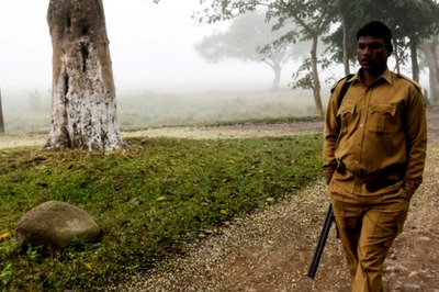 Chhattisgarh Forest Department Recruitment 2021: Applications Open for 291 Forest Guards Posts, Salary up to Rs 20,200