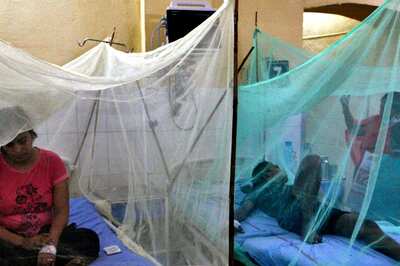 Dengue Cases in Delhi This Year Surge to Over 5,270, Highest Count Since 2015: Civic Body