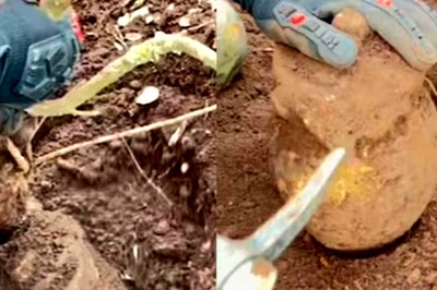 Treasure Hunters Claim Finding Silver Coins Under Tree, Internet Questions Authenticity