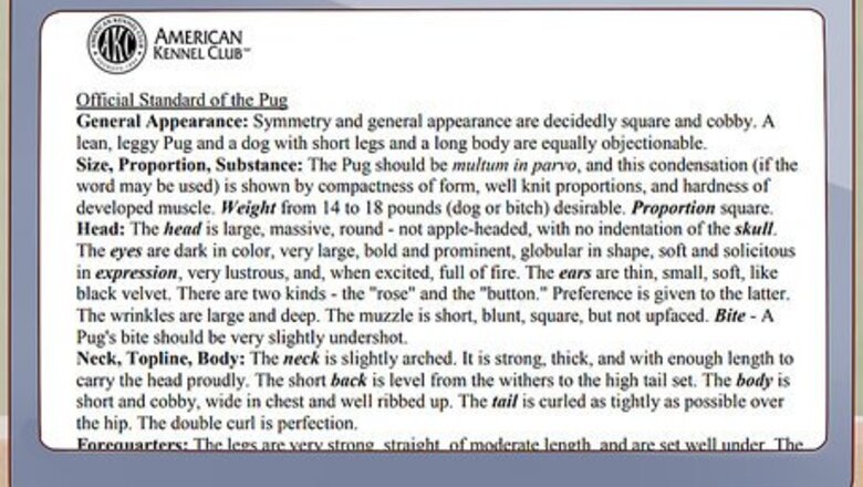 How to Choose a Pug