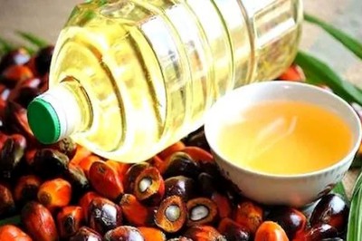 Hair and Skin Issues? Palm Oil Is The Solution To All Such Problems