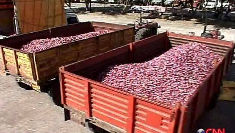 CCI seeks information from state govts as onion prices soar