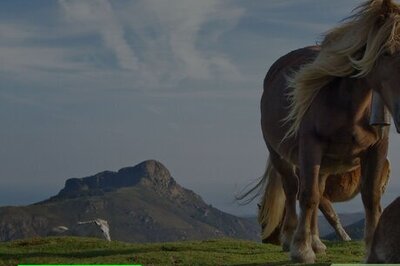 How to Check an IIS Event Log on Windows