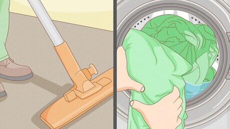 14 Natural Home Remedies to Get Rid of Fleas