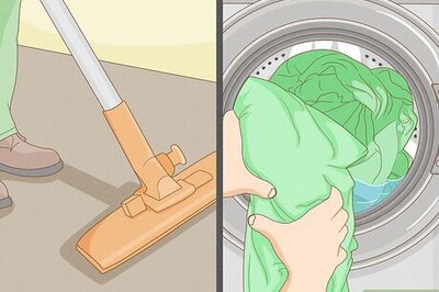 14 Natural Home Remedies to Get Rid of Fleas