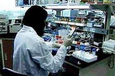 Prostrate cancer: Australian remedy