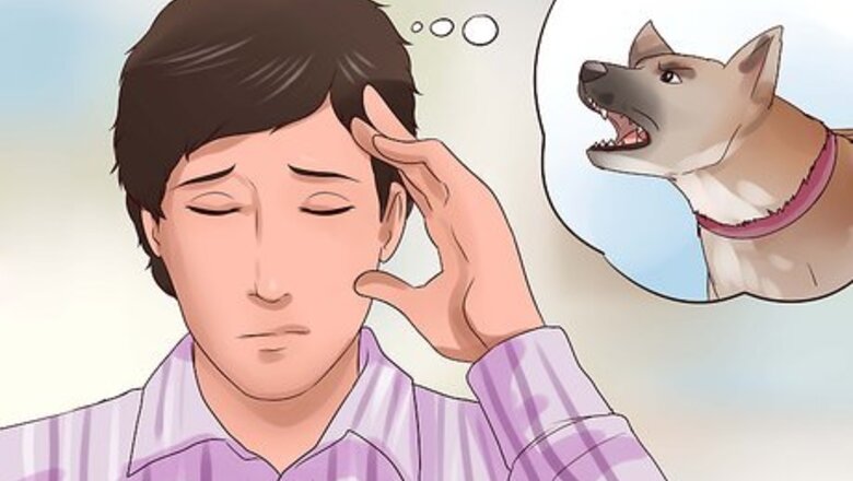 How to Get Used to Dogs